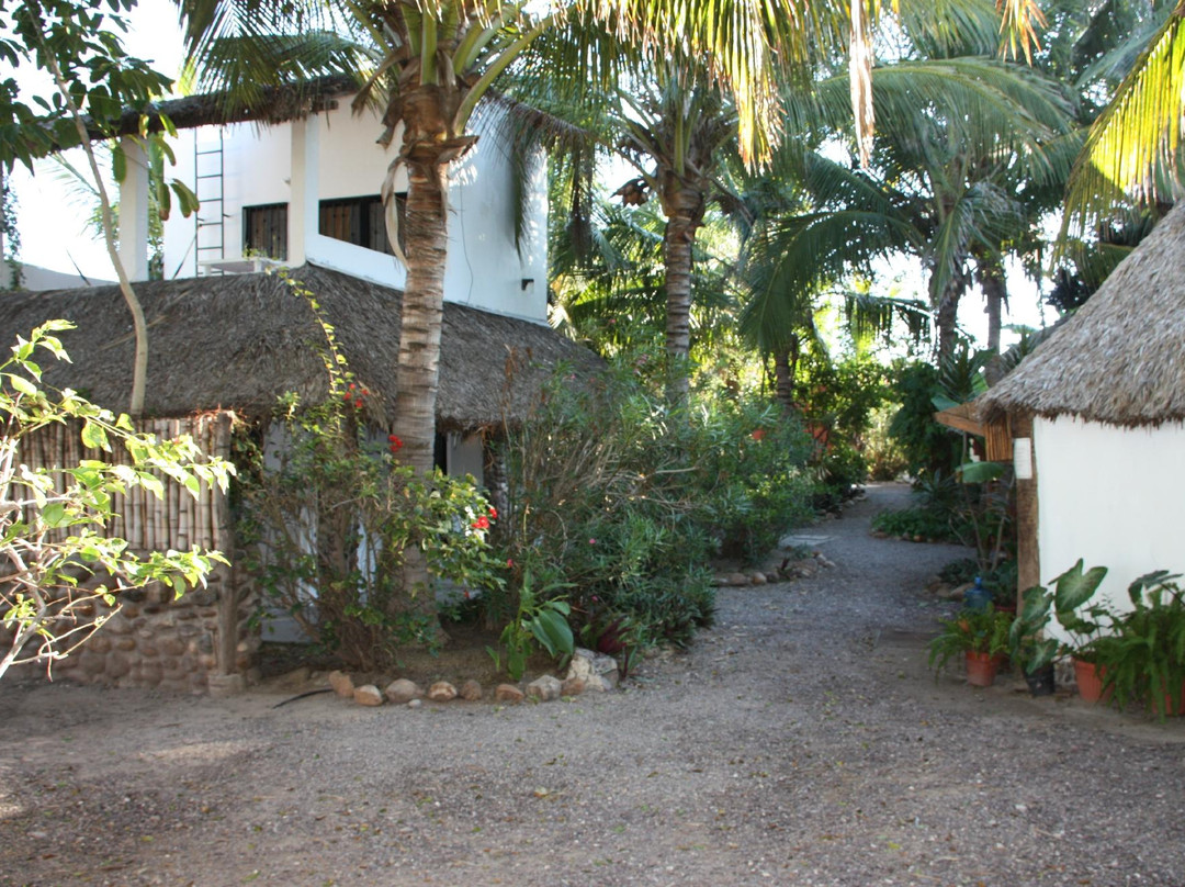 La Rosa de Las Barras主图