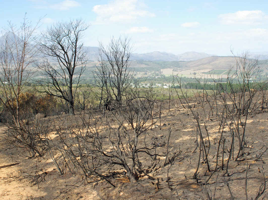 Helderberg Nature Reserve-西索美塞必去景点