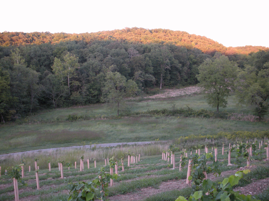 Seven Springs Winery景点图片