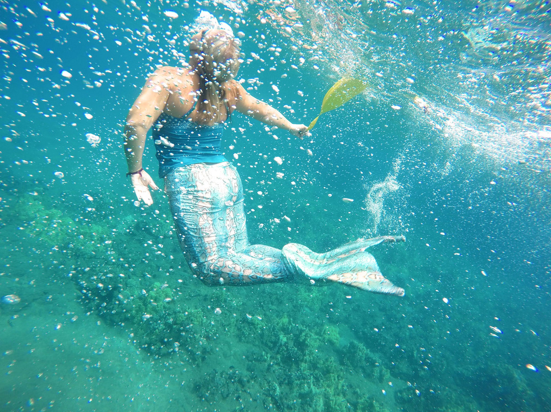 Hawaii Mermaid Adventures景点图片