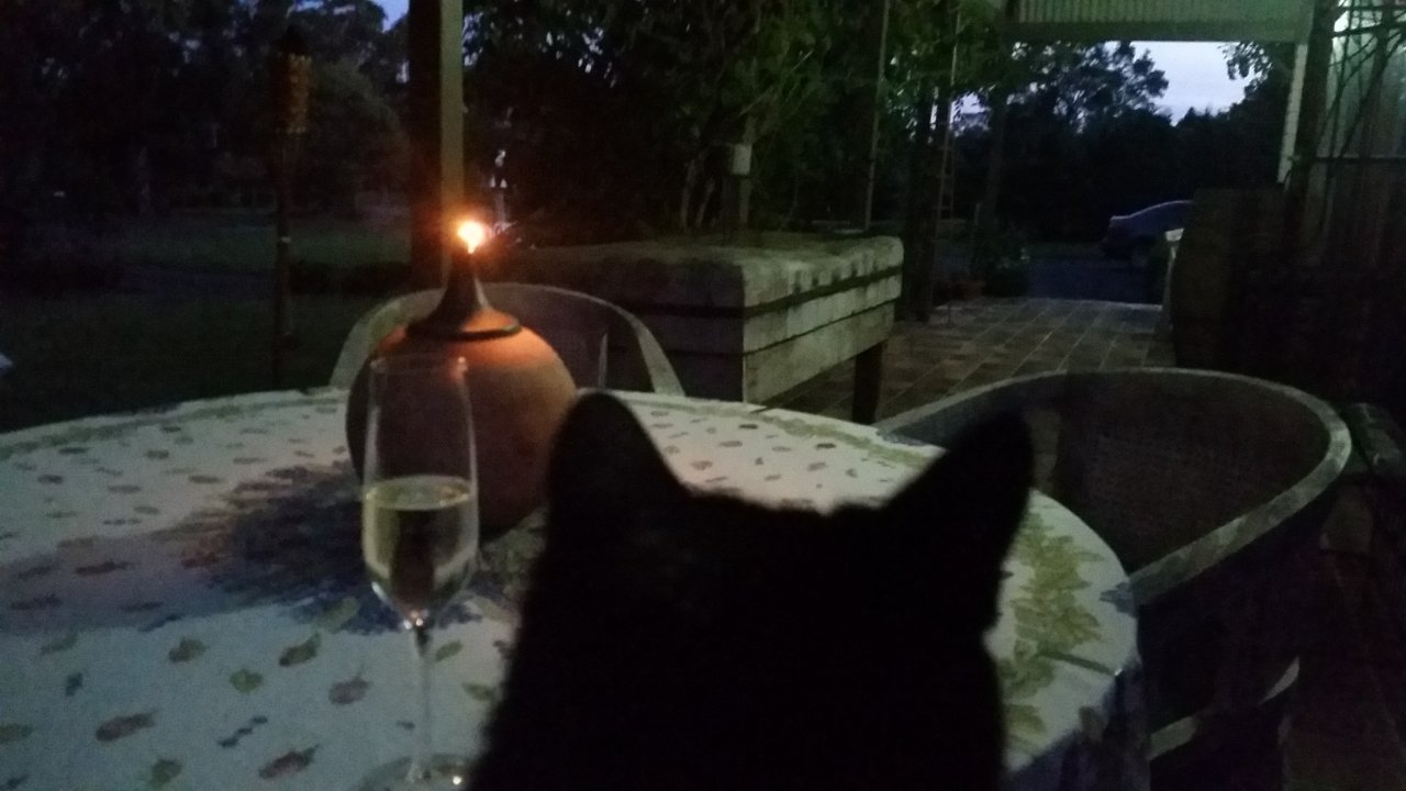 Peppertrees Guesthouse-酒店景观