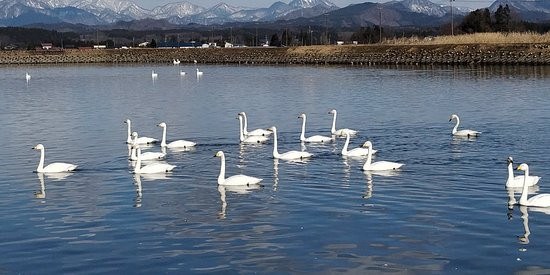 Nonomuratameike Lake景点图片