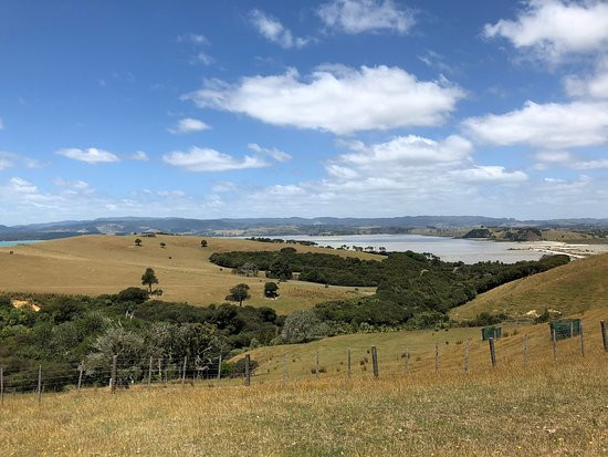 Duder Regional Park-Howick必去景点