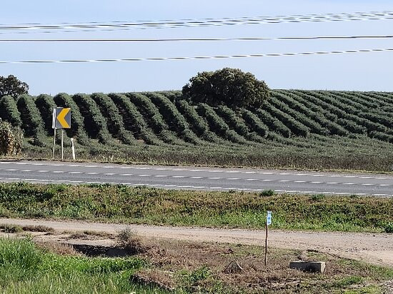 Lagar do Marmelo-Ferreira do Alentejo必去景点