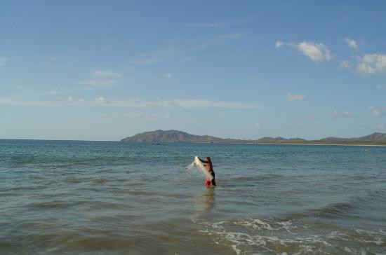 Tamarindo Beach景点图片