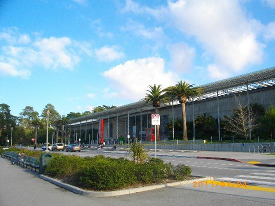加州科学馆-旧金山必去景点