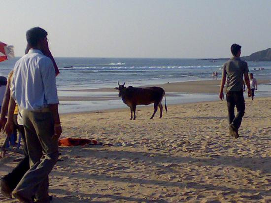 Old Goa-Goa Velha必去景点