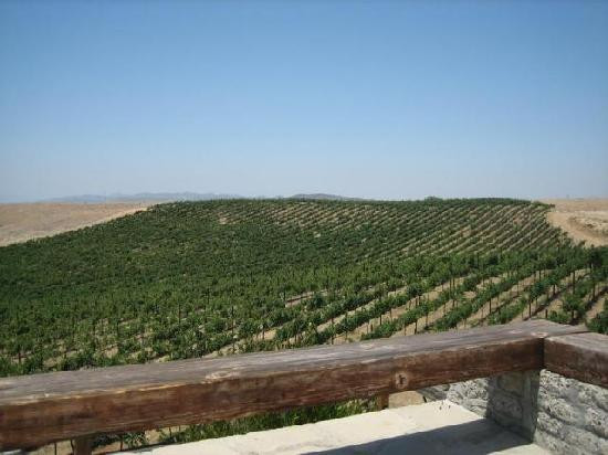 Callaway Vineyard and Winery-特曼库拉必去景点