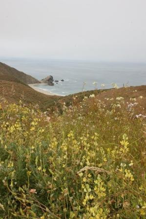 Tule Elk Preserve-Point Reyes National Seashore必去景点