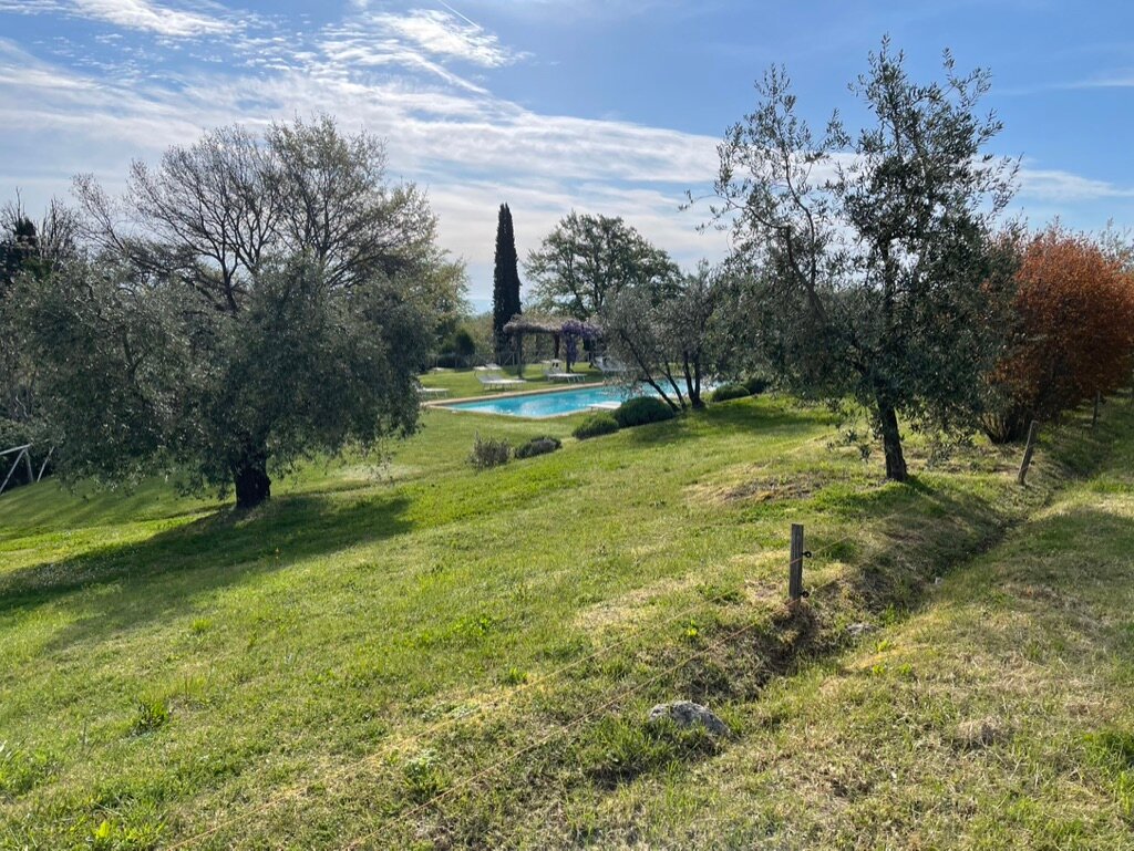 Casa Fabbrini Val D'Orcia-泳池