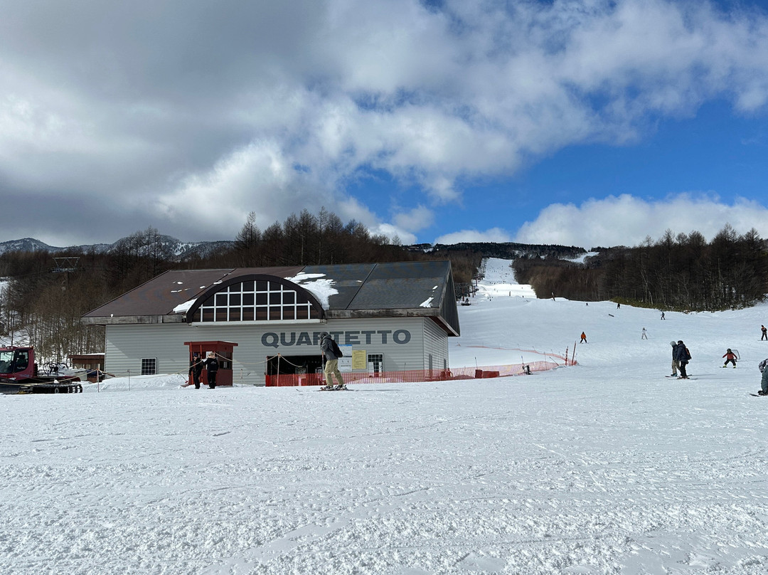 Palcall Tsumagoi Ski Resort景点图片