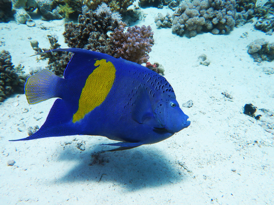 DUNE Red Sea-Safaga必去景点