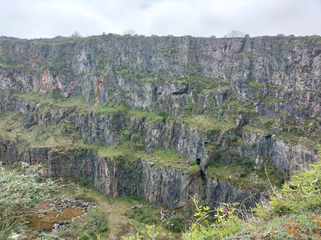 Berry Head National Nature Reserve景点图片
