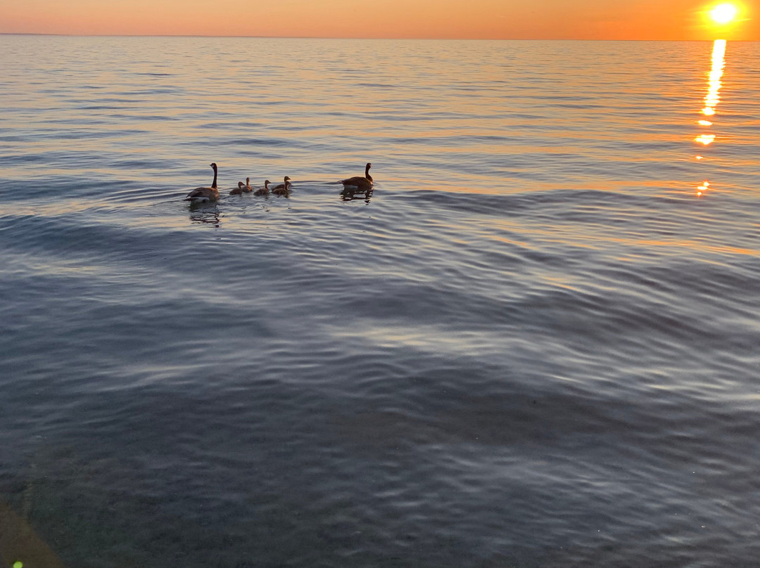 Balm Beach Resort主图