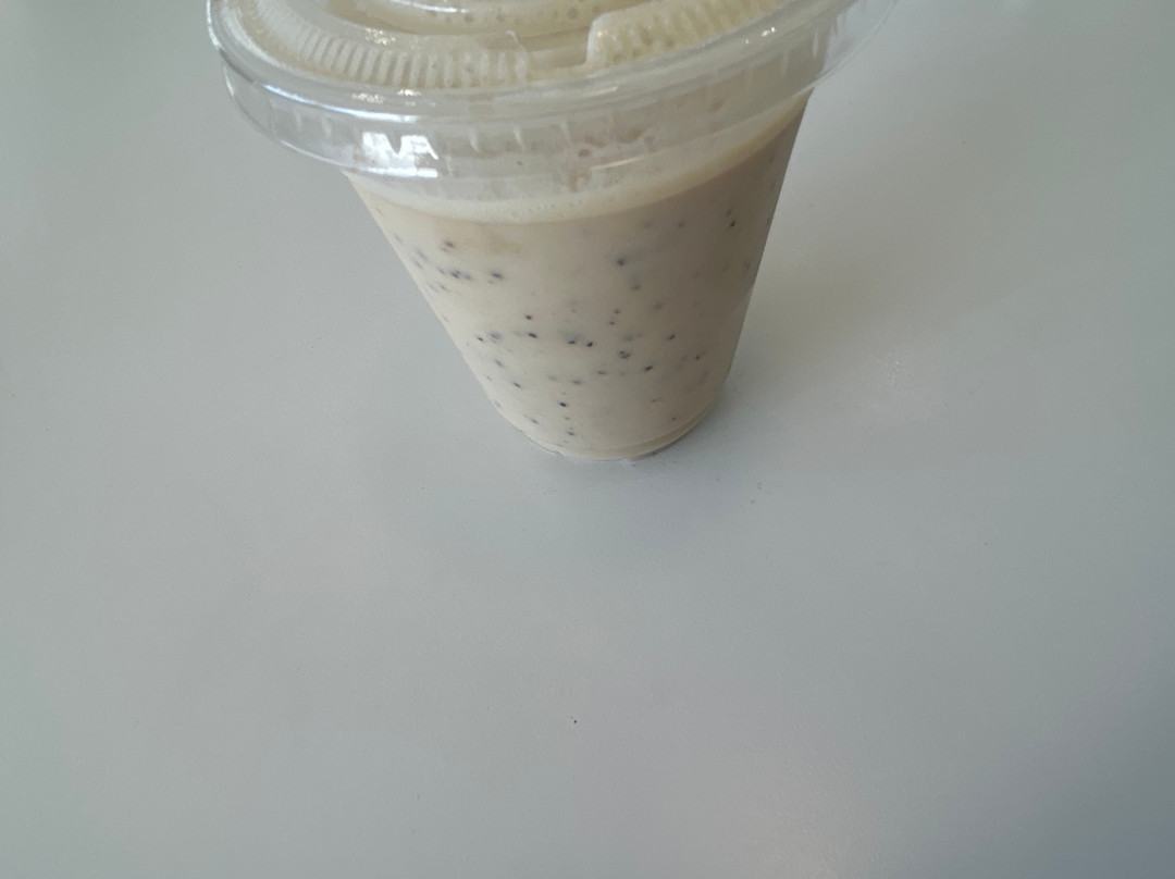 The Enormous Crocodile Company-惠灵顿必去景点