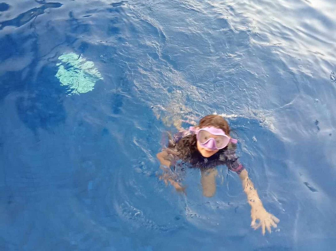 Dreamtime Dive and Snorkel-凯恩斯必去景点