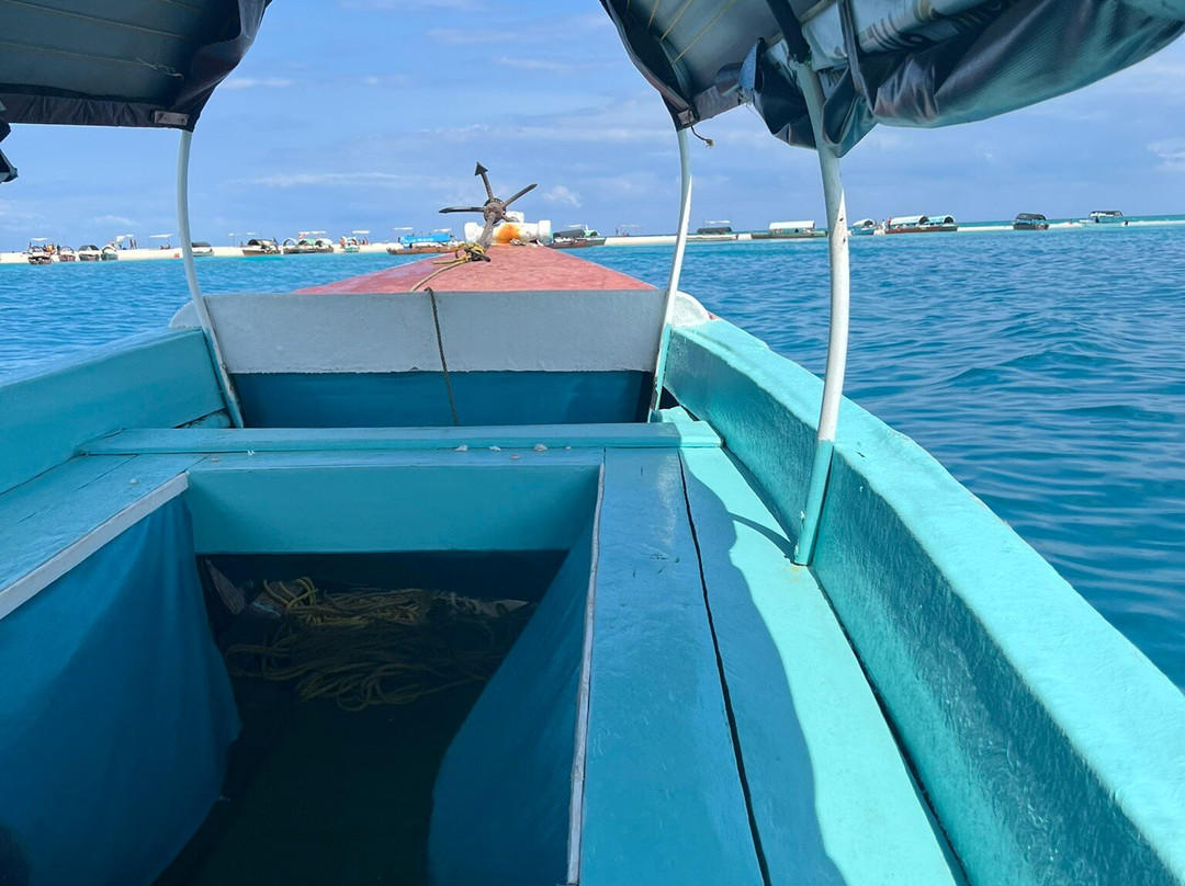 The Wall Tours-桑给巴尔岛必去景点