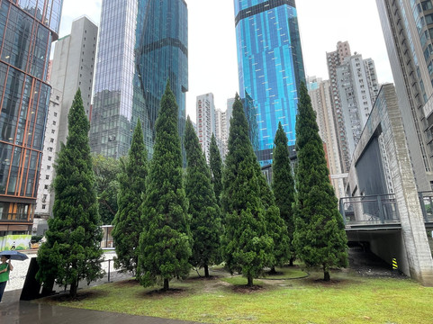 油街实现-香港必去景点