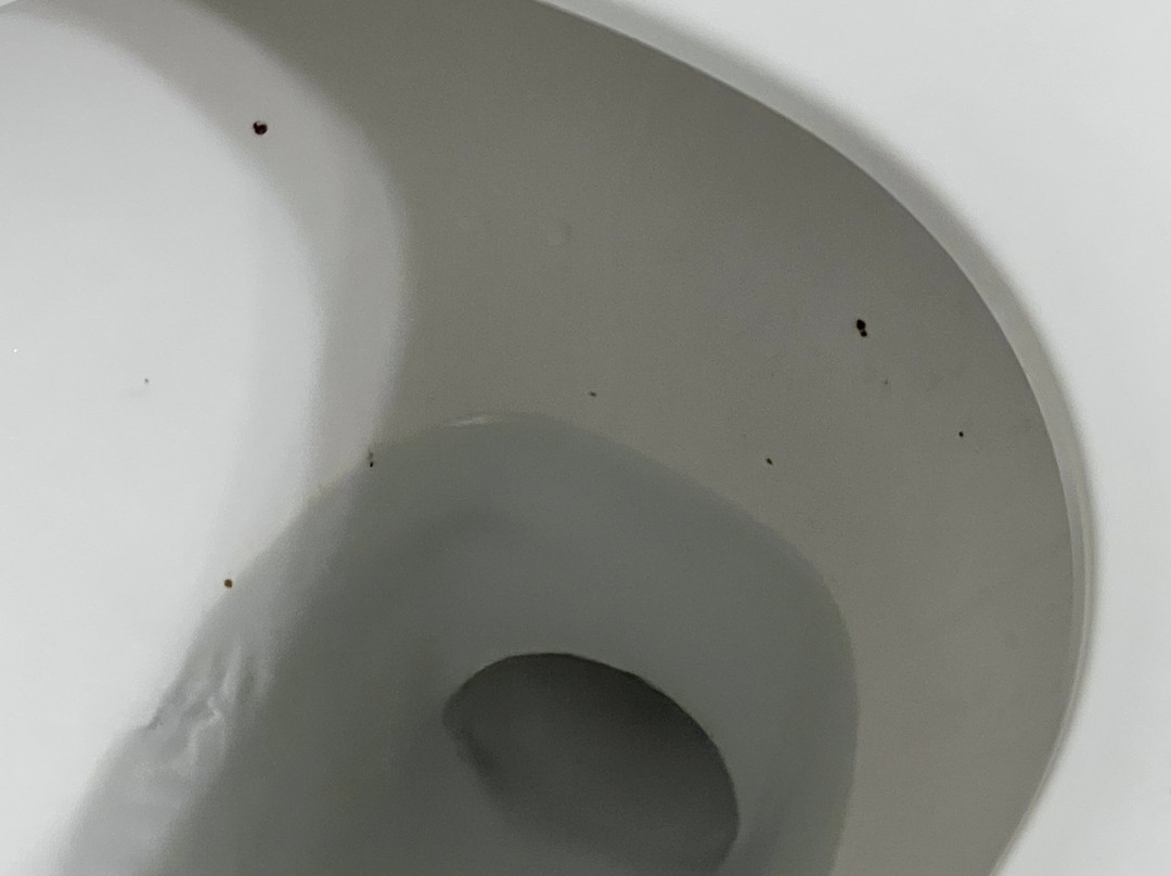 卡尔森 - 格林内尔套房江山酒店主图