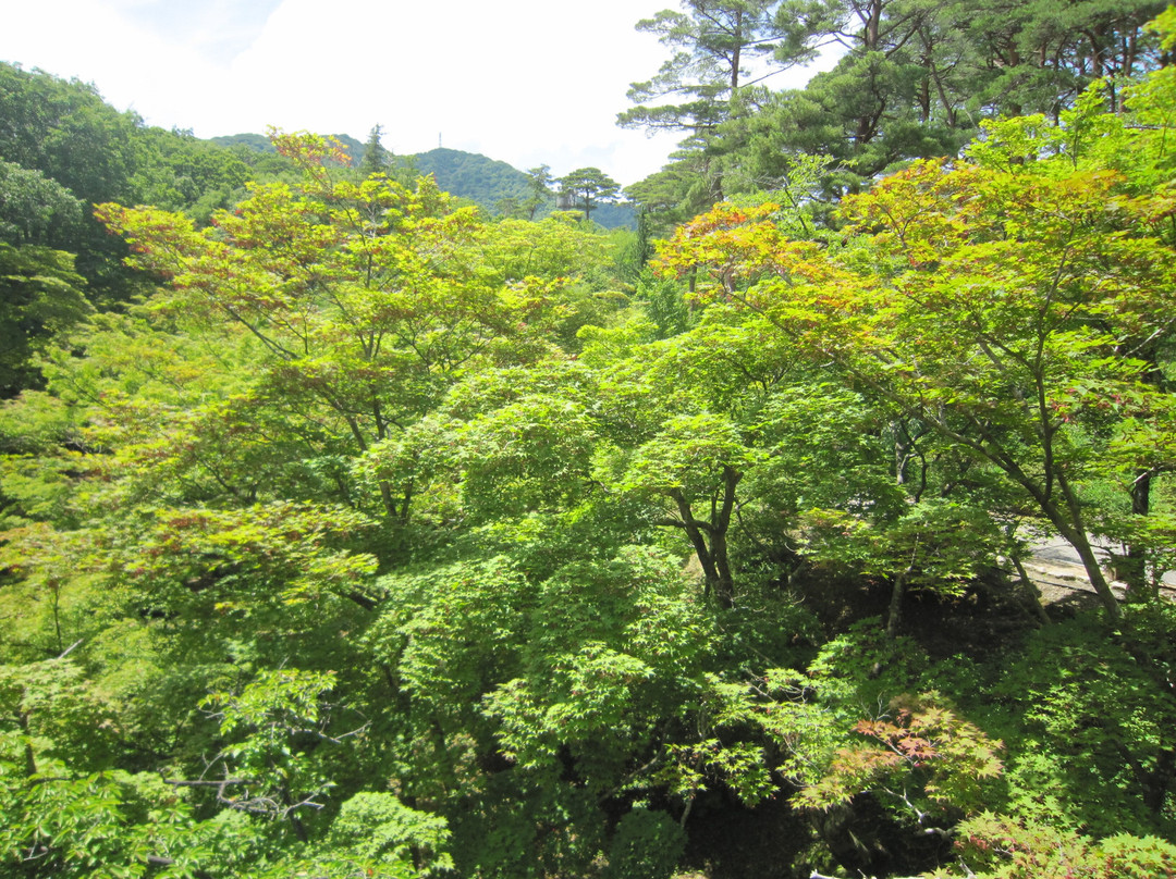 Yahiko Park景点图片