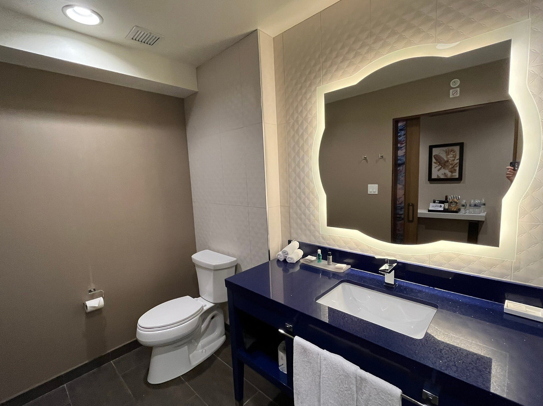 Hotel Indigo Naperville Riverwalk by IHG主图