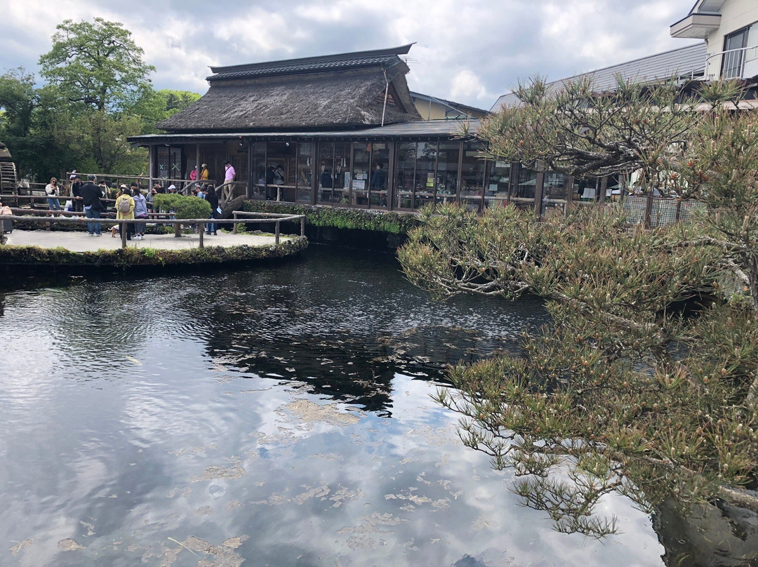 Waku Pond景点图片