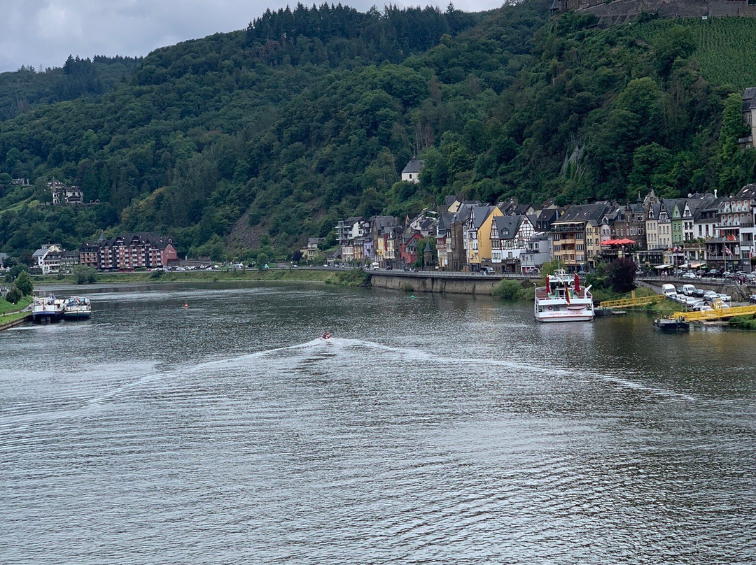 施耐德费瑞恩葡萄酒庄主图