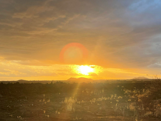 Bush Company-马林地必去景点