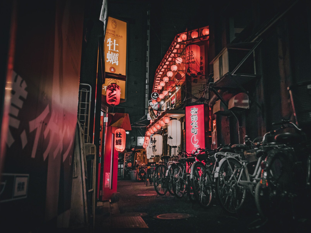 Shinjuku Kabukicho Noren Street-Kabukicho必去景点
