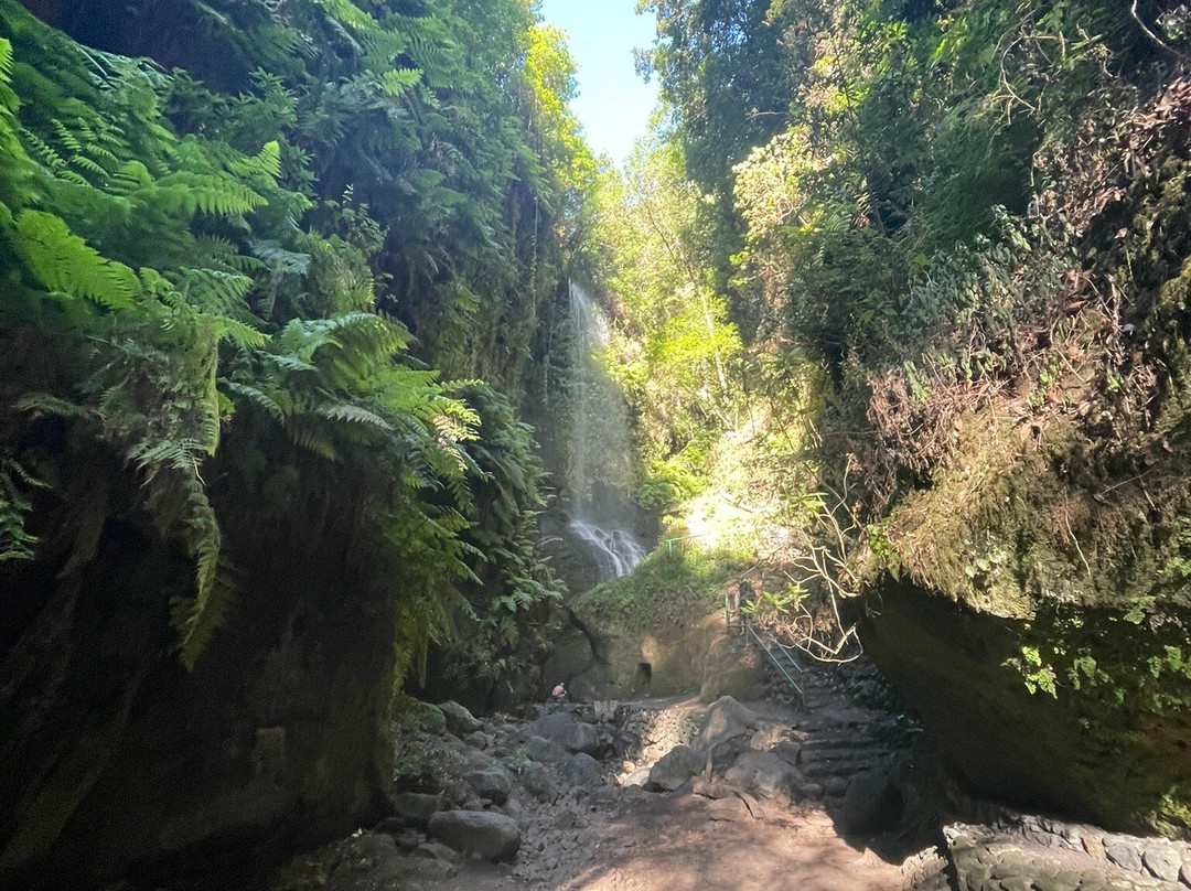 Cascada De los Tilos-San Andres y Sauces必去景点