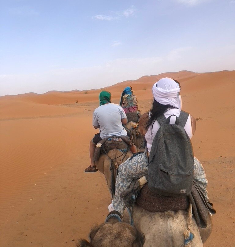 Shared Desert Tours景点图片