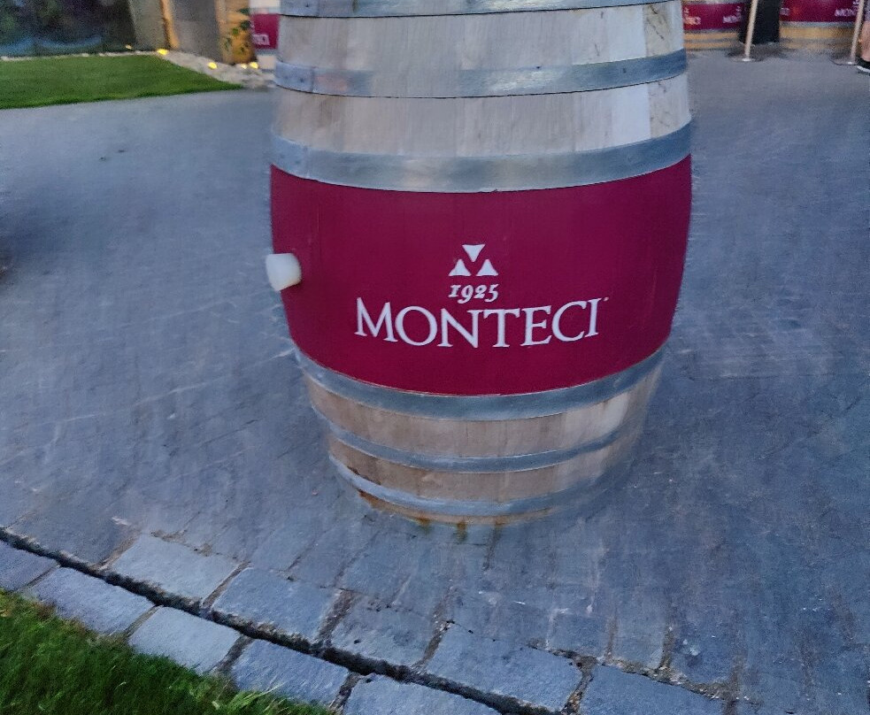 Monteci Viticoltori景点图片