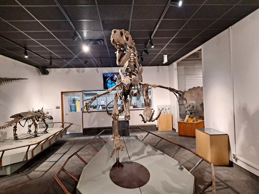 BYU Museum of Paleontology-普若佛必去景点