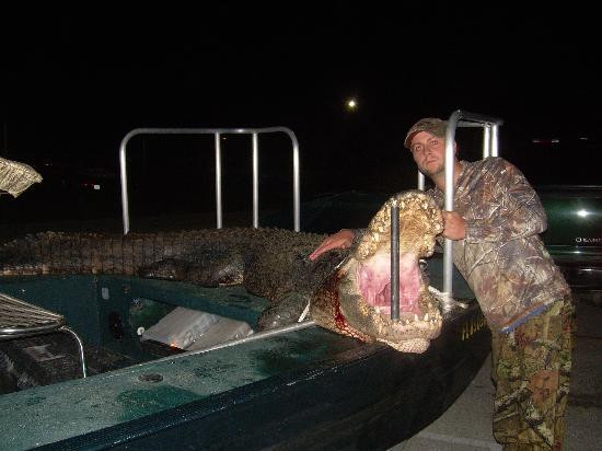 Everglades Adventures-克莱维斯顿必去景点