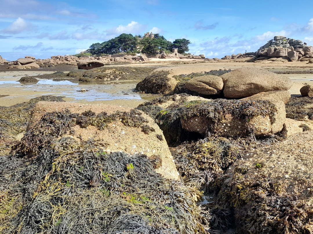 Plage de Tourony景点图片