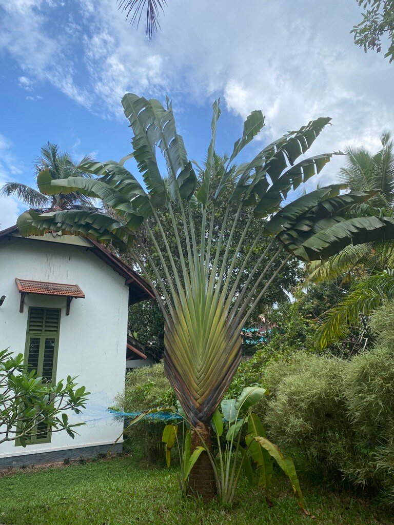 Aanandakosha Ayurveda Retreat-浴室
