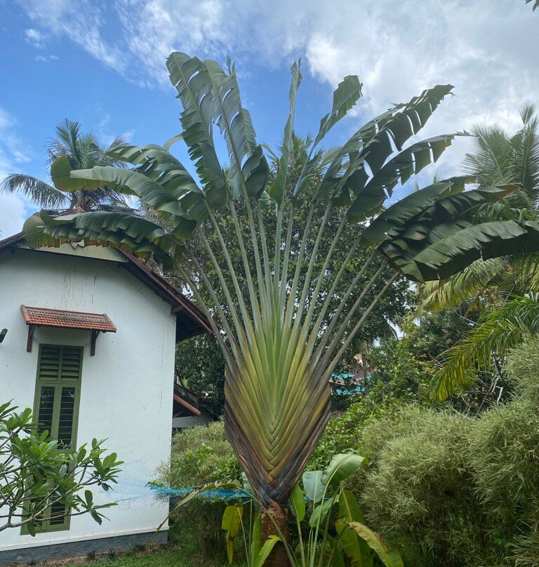 Aanandakosha Ayurveda Retreat主图