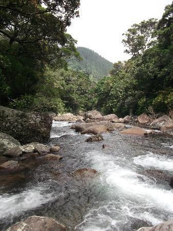 Knuckles Conservation Forest-Kandy District必去景点