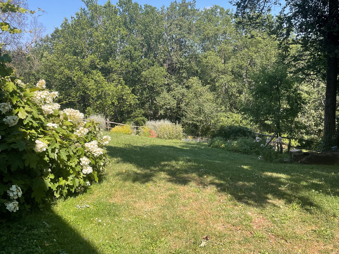 Cantina le Pietre