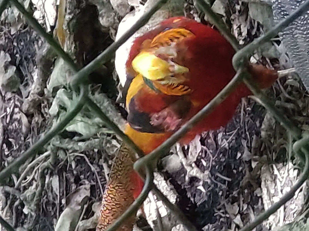 Taino Valley Tropical Park-Tubagua必去景点