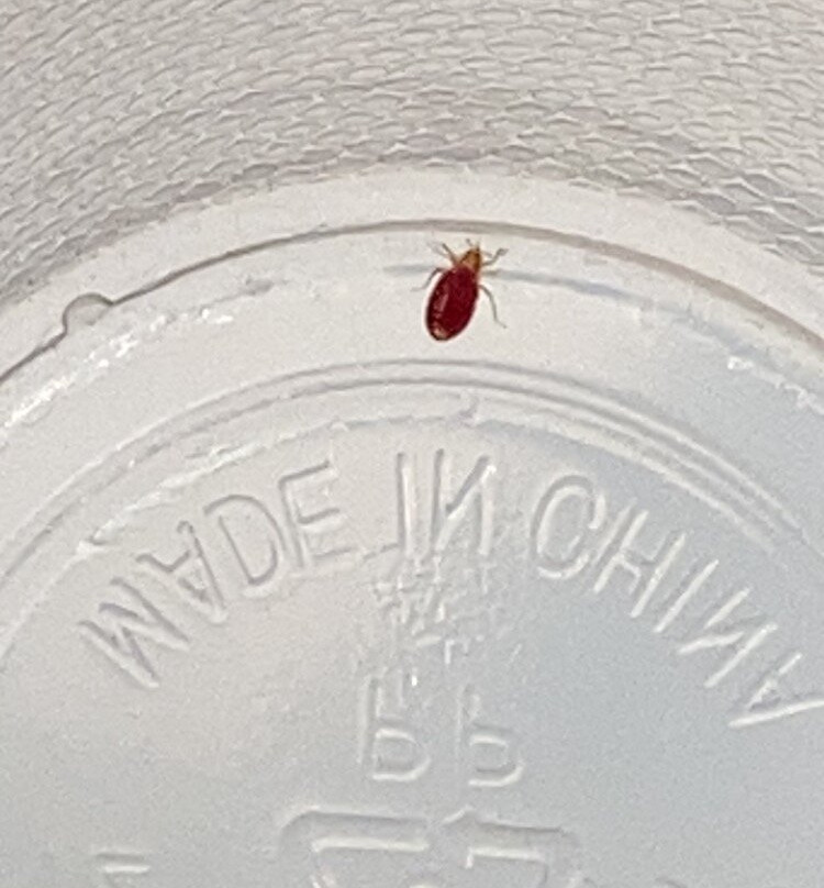 Spark by Hilton Abingdon I-81 near Fairgrounds主图