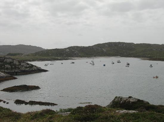 Wild Derrynane Walking Tours-Caherdaniel必去景点