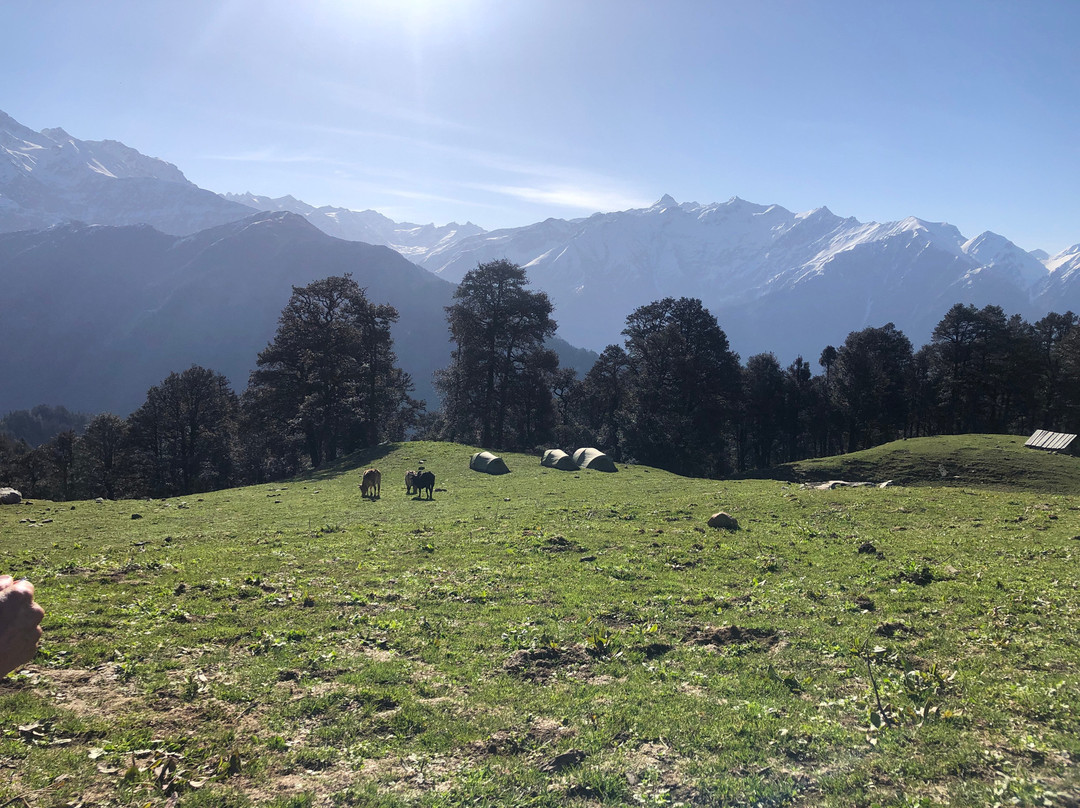 Great Himalayan National Park景点图片
