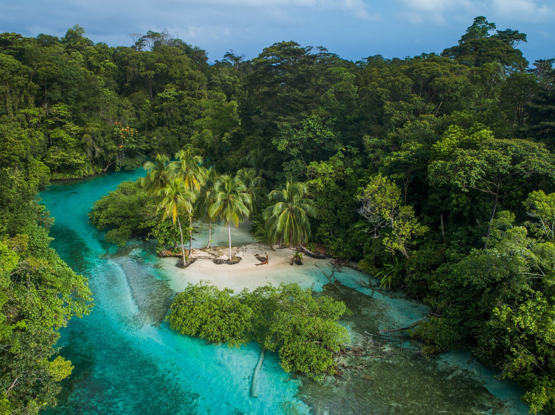 巴拿马酒店住宿-Nayara Bocas Del Toro