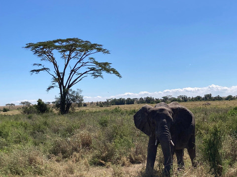 Materuni Tours-莫西必去景点