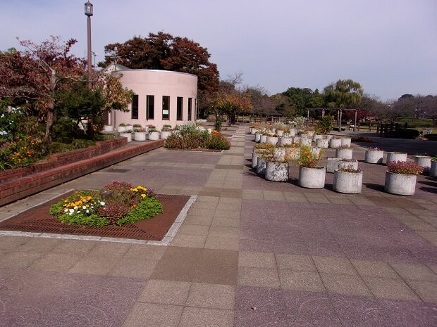 Saijonuma Park-莲田市必去景点