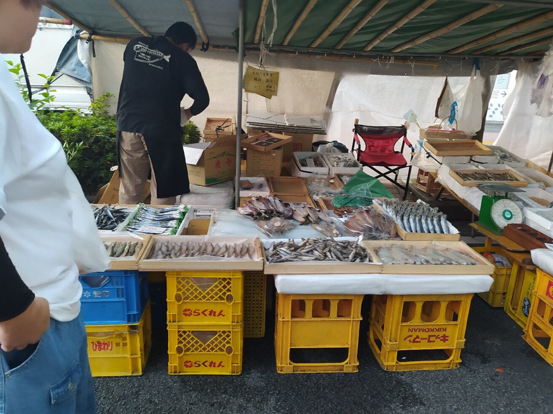 Sunday Market-高知市必去景点