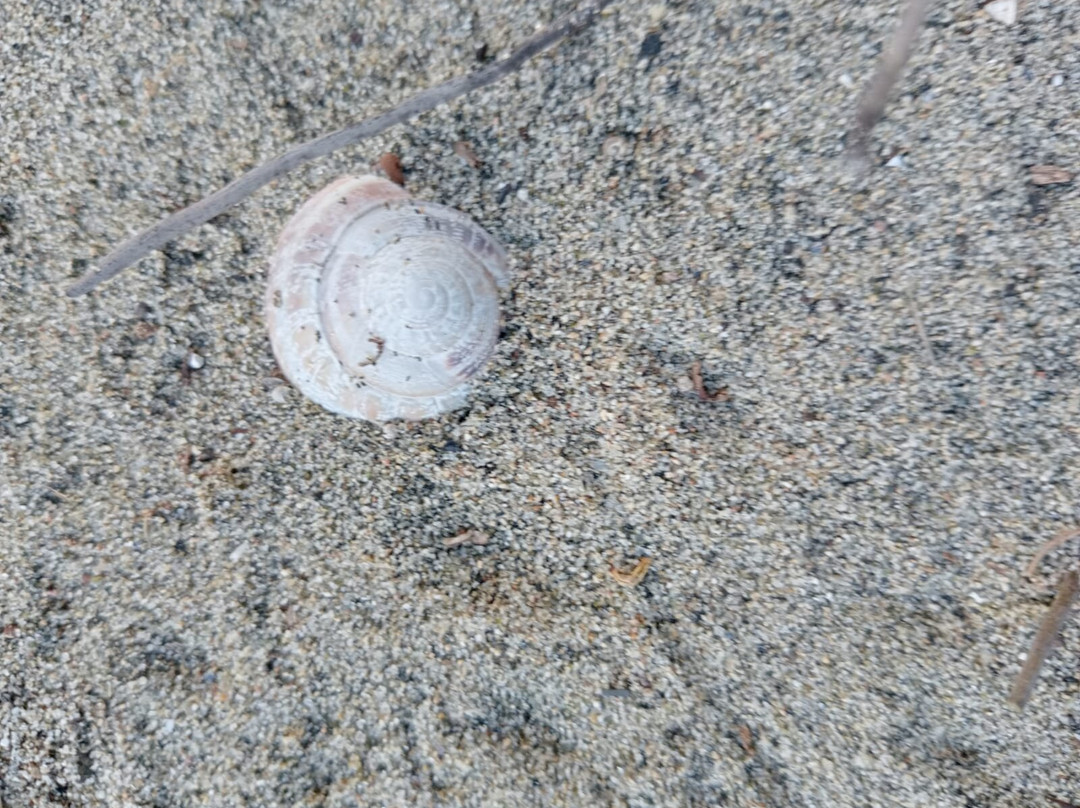 Spiaggia libera Bianca-Lido di Ostia必去景点