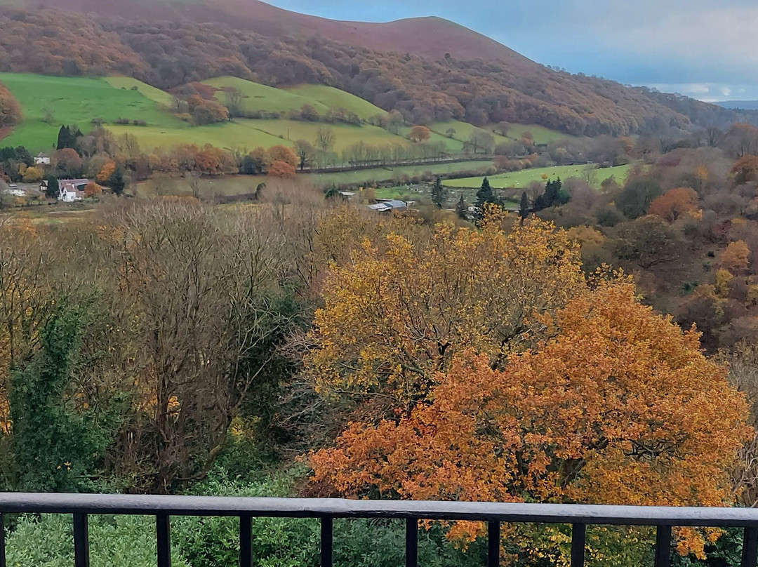 郎迈德酒店主图