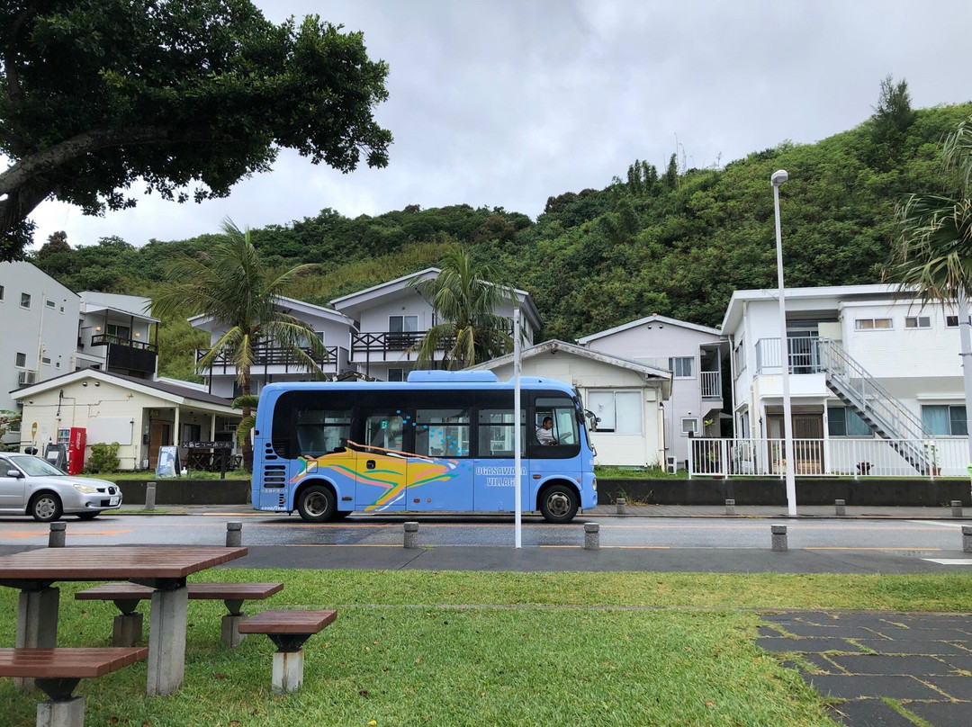 Ogasawaramura Bus景点图片